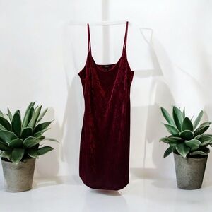 Lush Burgundy Velvet Dress